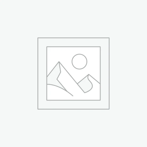 ইসলামে রাষ্ট্র ও সরকার পরিচালনার মূলনীতি